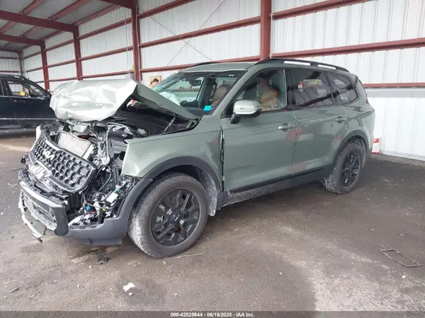 5XYP5DGC8RG456729 2024 KIA TELLURIDE - Image 2