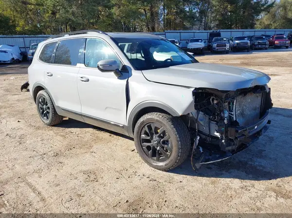 5XYP5DGC8RG458299 2024 KIA TELLURIDE - Image 1