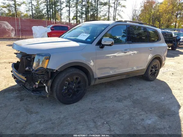 5XYP5DGC8RG458299 2024 KIA TELLURIDE - Image 2