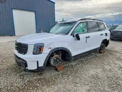 5XYP5DGC8RG469500 2024 KIA TELLURIDE