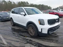 5XYP5DGC8RG481193 2024 KIA TELLURIDE