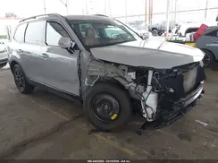 5XYP5DGC8RG493327 2024 KIA TELLURIDE