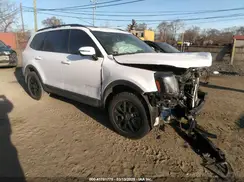 5XYP5DGC8RG505640 2024 KIA TELLURIDE