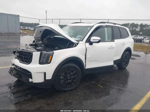 5XYP5DGC8RG517867 2024 KIA TELLURIDE - Image 2