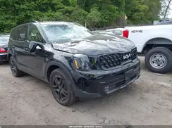 5XYP5DGC8RG520090 2024 KIA TELLURIDE