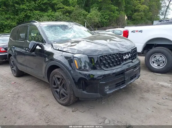 5XYP5DGC8RG520090 2024 KIA TELLURIDE - Image 1
