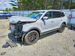 5XYP5DGC8RG531140 2024 KIA TELLURIDE