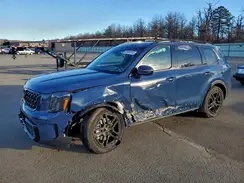 5XYP5DGC8RG534734 2024 KIA TELLURIDE