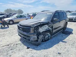 5XYP5DGC8RG550934 2024 KIA TELLURIDE