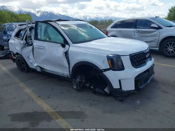 5XYP5DGC8RG557348 2024 KIA TELLURIDE - Image 1