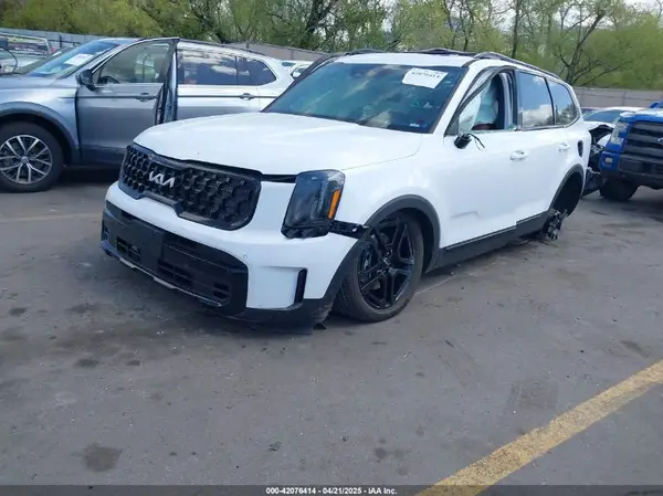 5XYP5DGC8RG557348 2024 KIA TELLURIDE - Image 2
