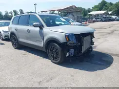 5XYP5DGC8SG573099 2025 KIA TELLURIDE