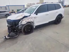 5XYP5DGC8SG589822 2025 KIA TELLURIDE