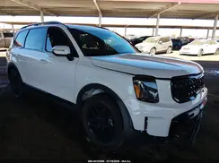 5XYP5DGC8SG610829 2025 KIA TELLURIDE