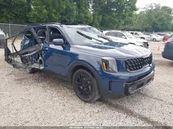 5XYP5DGC8SG645094 2025 KIA TELLURIDE