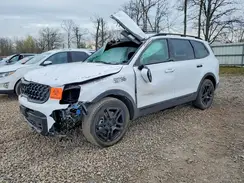5XYP5DGC8SG663367 2025 KIA TELLURIDE