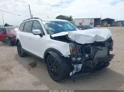 5XYP5DGC8SG735118 2025 KIA TELLURIDE