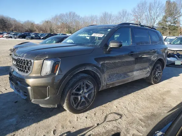 5XYP5DGC9PG326343 2023 KIA TELLURIDE - Image 1