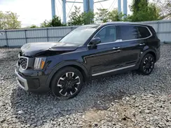 5XYP5DGC9PG346155 2023 KIA TELLURIDE