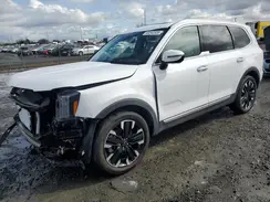 5XYP5DGC9PG350576 2023 KIA TELLURIDE