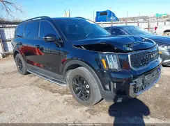 5XYP5DGC9PG381469 2023 KIA TELLURIDE