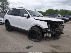 5XYP5DGC9PG403437 2023 KIA TELLURIDE