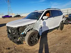 5XYP5DGC9RG421231 2024 KIA TELLURIDE