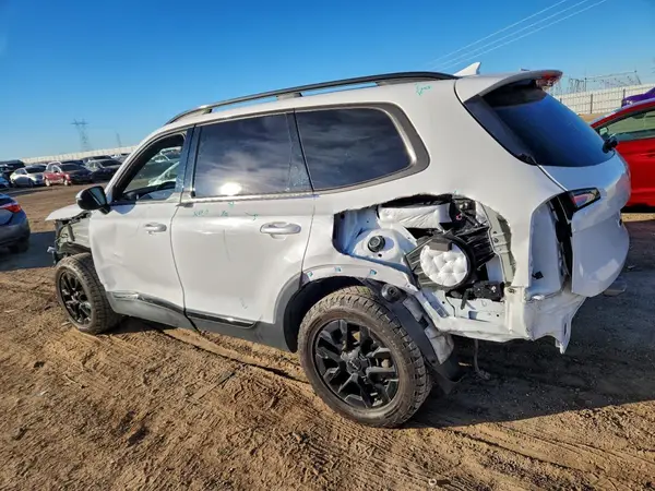5XYP5DGC9RG421231 2024 KIA TELLURIDE - Image 2