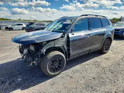 5XYP5DGC9RG434156 2024 KIA TELLURIDE