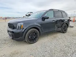 5XYP5DGC9RG453287 2024 KIA TELLURIDE
