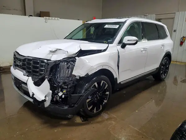 5XYP5DGC9RG455671 2024 KIA TELLURIDE - Image 1
