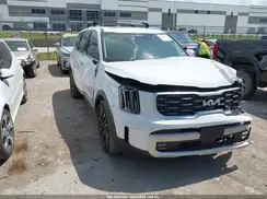 5XYP5DGC9RG487391 2024 KIA TELLURIDE