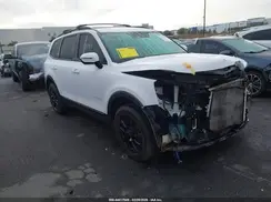 5XYP5DGC9RG487505 2024 KIA TELLURIDE