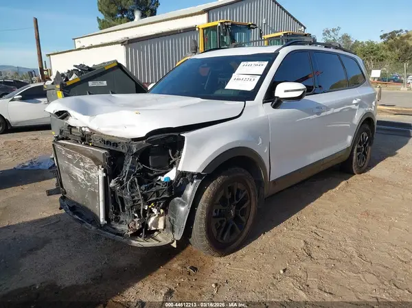 5XYP5DGC9RG487505 2024 KIA TELLURIDE - Image 2