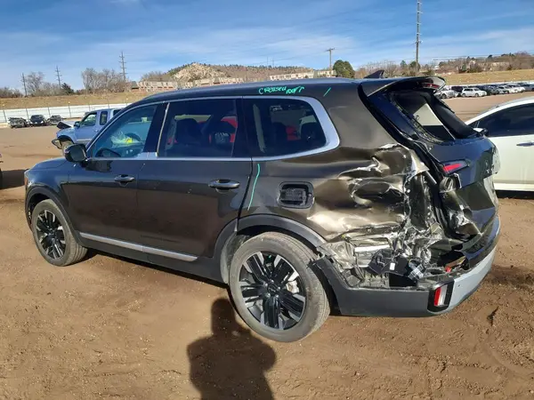 5XYP5DGC9RG501225 2024 KIA TELLURIDE - Image 2