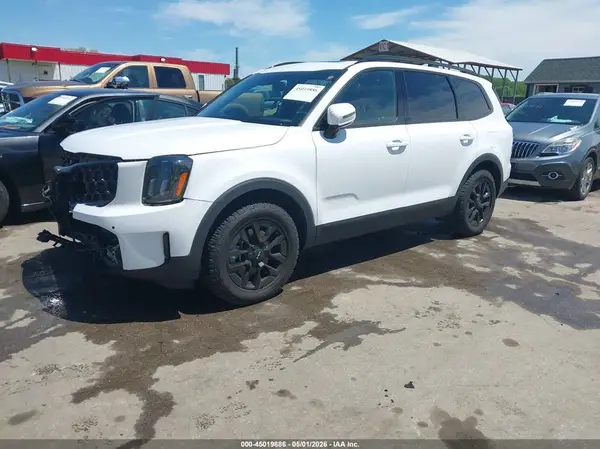 5XYP5DGC9RG522429 2024 KIA TELLURIDE - Image 2
