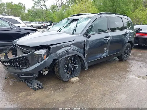 5XYP5DGC9RG530255 2024 KIA TELLURIDE - Image 2