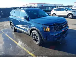 5XYP5DGC9RG534905 2024 KIA TELLURIDE
