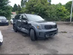5XYP5DGC9RG540834 2024 KIA TELLURIDE