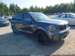 5XYP5DGC9RG548481 2024 KIA TELLURIDE