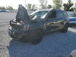 5XYP5DGC9SG573550 2025 KIA TELLURIDE