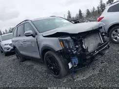 5XYP5DGC9SG605686 2025 KIA TELLURIDE