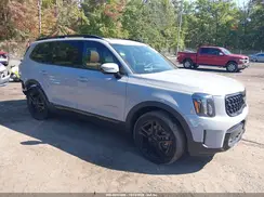 5XYP5DGC9SG616252 2025 KIA TELLURIDE