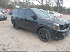 5XYP5DGC9SG650983 2025 KIA TELLURIDE