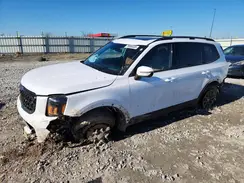 5XYP5DGC9SG687063 2025 KIA TELLURIDE