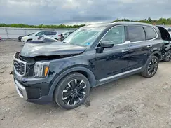5XYP5DGCXPG346164 2023 KIA TELLURIDE