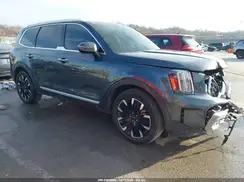 5XYP5DGCXPG355205 2023 KIA TELLURIDE