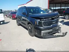 5XYP5DGCXPG381917 2023 KIA TELLURIDE