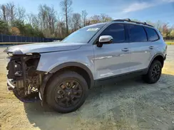 5XYP5DGCXRG417642 2024 KIA TELLURIDE