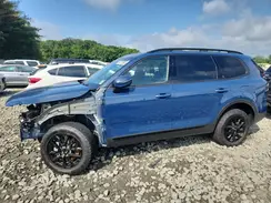 5XYP5DGCXRG421366 2024 KIA TELLURIDE
